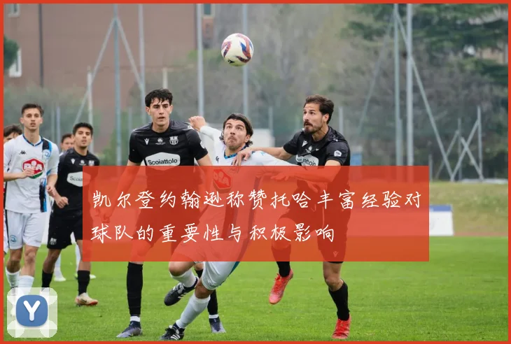 凯尔登约翰逊称赞托哈丰富经验对球队的重要性与积极影响
